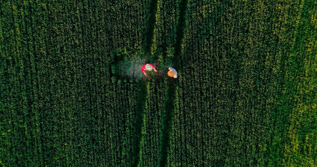 Novidade na prateleira? CVM propõe criação de “Fiagro multimercado ...